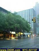 thm_NYC-021107.jpg